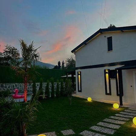 Shino Sapanca'Da Sicak Havuzlu Tatil Keyfi! Villa Екстериор снимка
