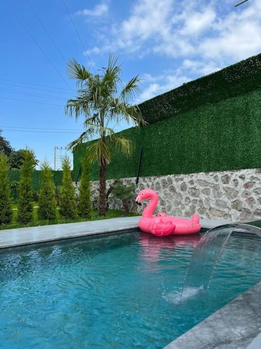 Shino Sapanca'Da Sicak Havuzlu Tatil Keyfi! Villa Екстериор снимка
